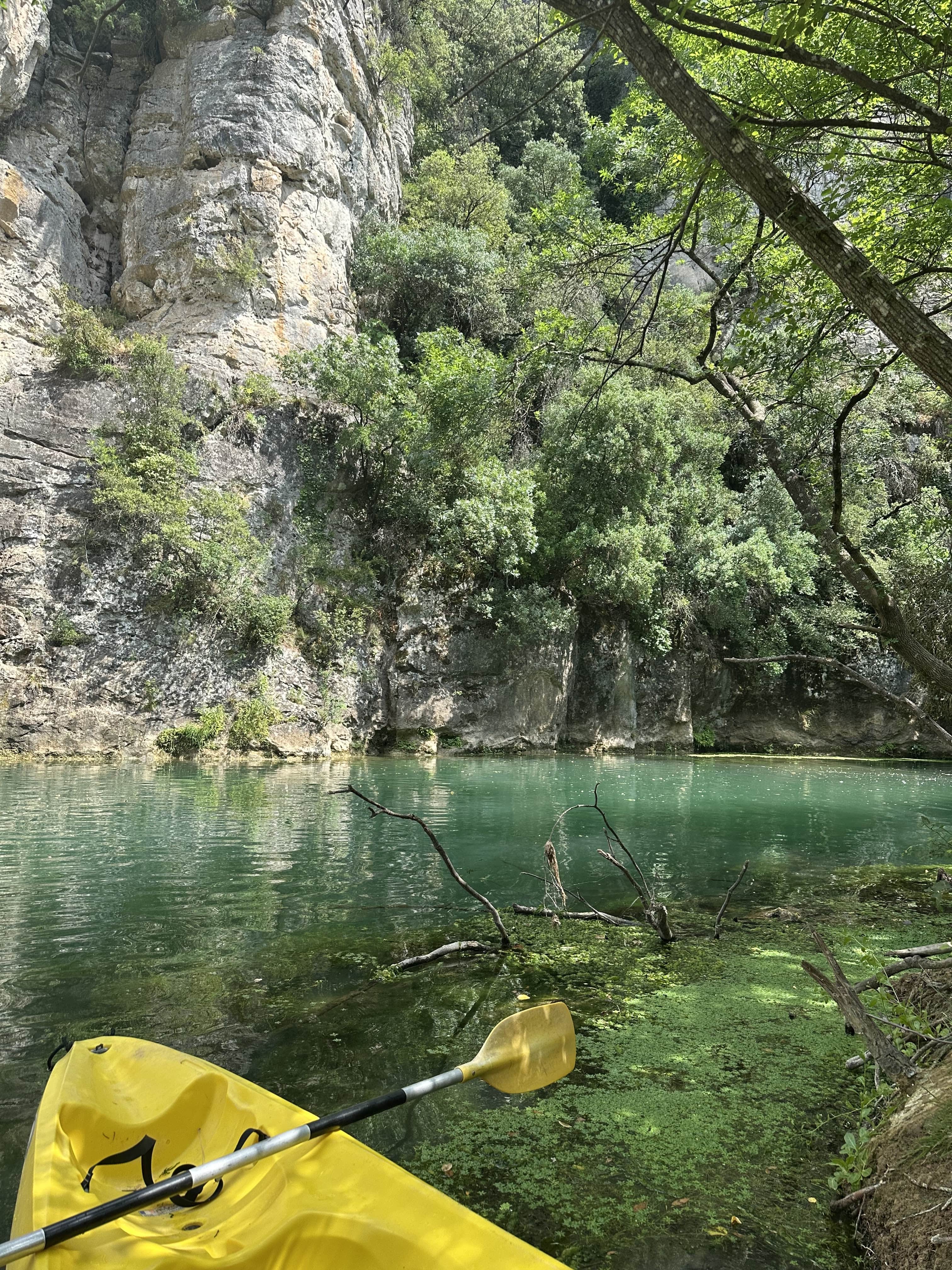Canoë sur l'Argens